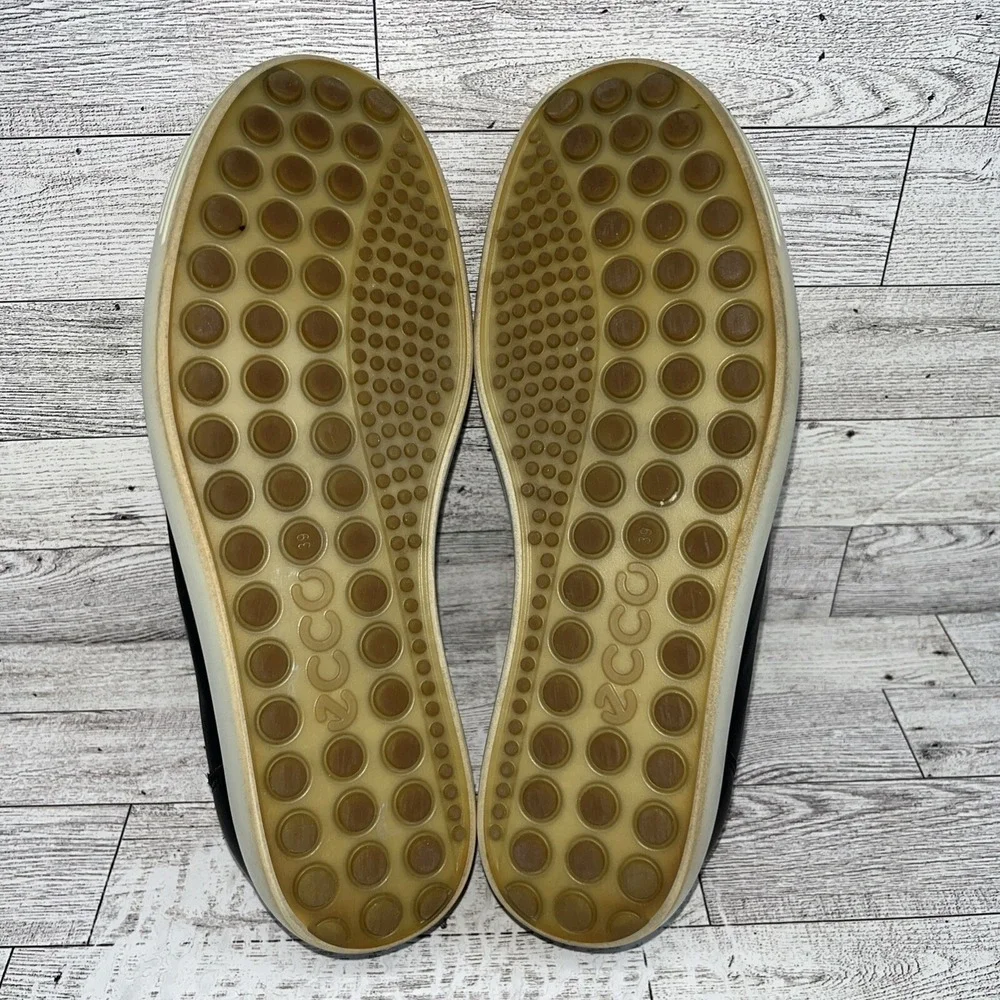 Ecco elevate your